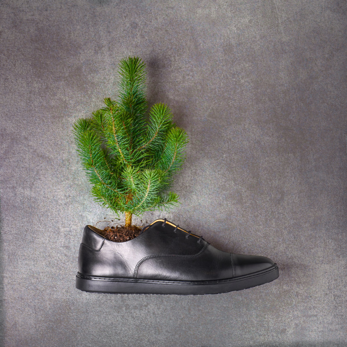 The Sneaker Disguised As A Dress Shoe The Sneaker Disguised As A Dress Shoe